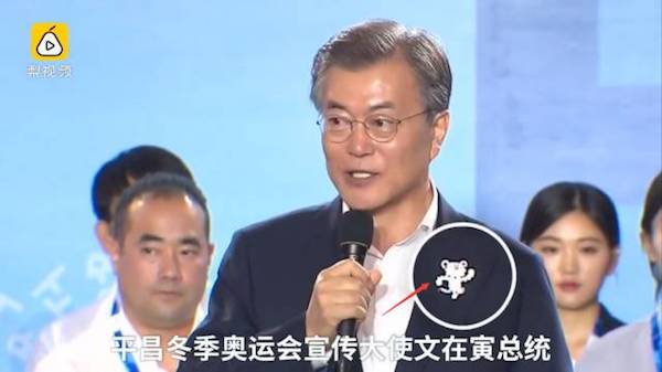 韩国奥运会吉祥物,韩国冬奥会吉祥物