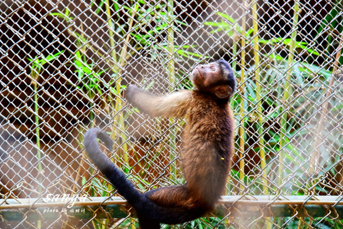 天堂很远中国很近,天堂很远扎西尼玛