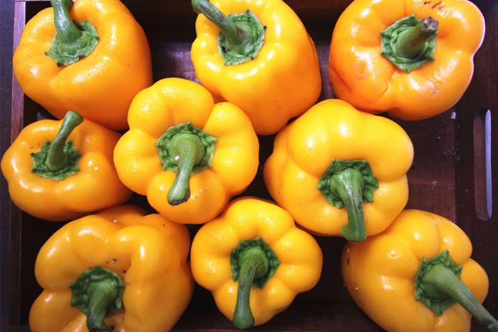 带着寻宝记游遍祖国大好河山,带着挖机去海边度假