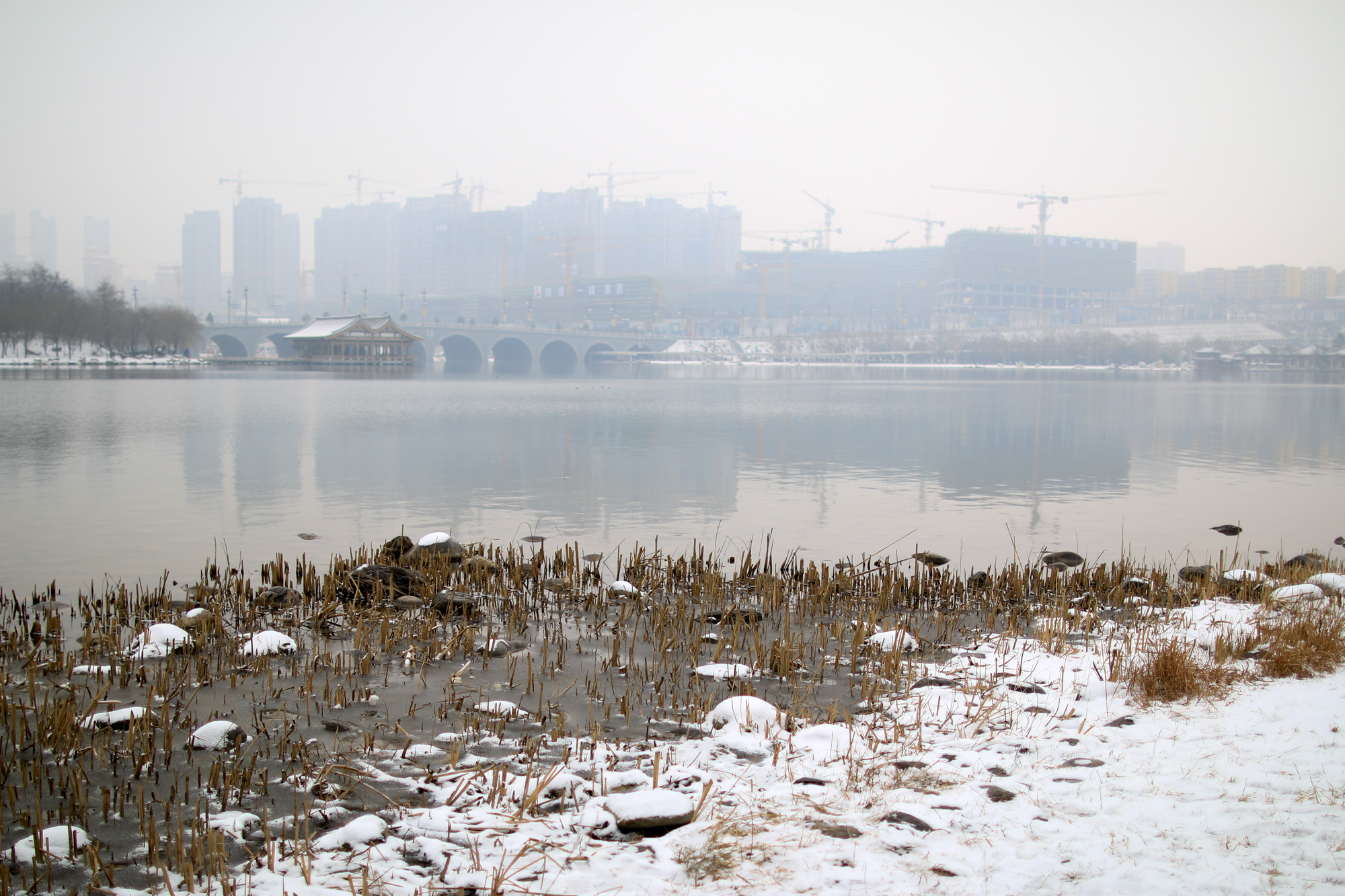 西安曲江池遗址公园值得去吗,西安曲江池遗址公园曲江池