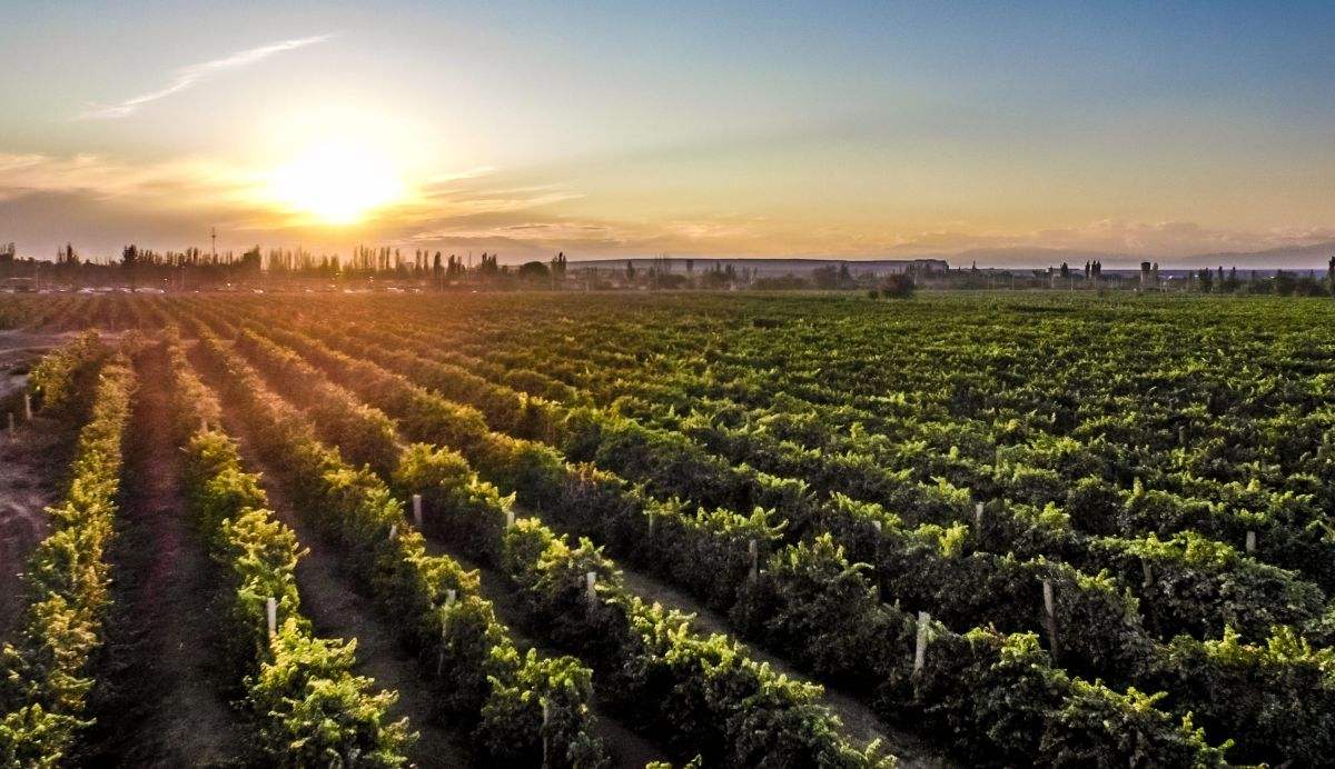 法国1855列级酒庄高清图,法国1855列级酒庄名单