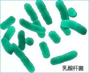 外阴瘙痒用红核洗液没用怎么办,外阴瘙痒怎样使用优香洗液和凝胶