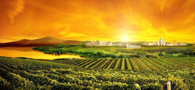 法国1855列级酒庄高清图,法国1855列级酒庄名单