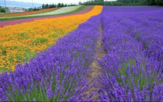 骑行之旅云南,骑行之旅英文