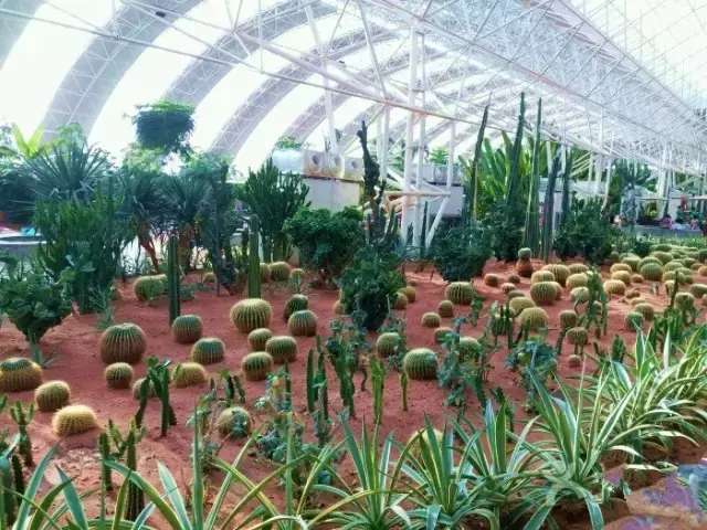 大连性价比较高的温泉,大连温泉哪家好又便宜