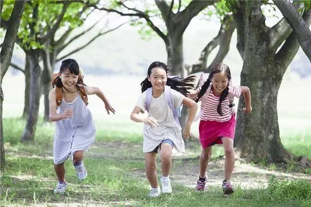 哈市年满6周岁即可申请入学︱错过了，再等一年！