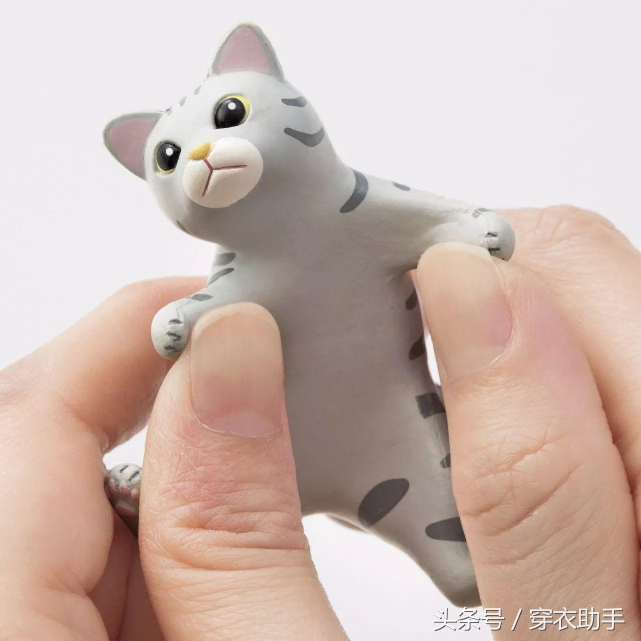 提升猫咪智商的玩具,提高猫咪的生活品质