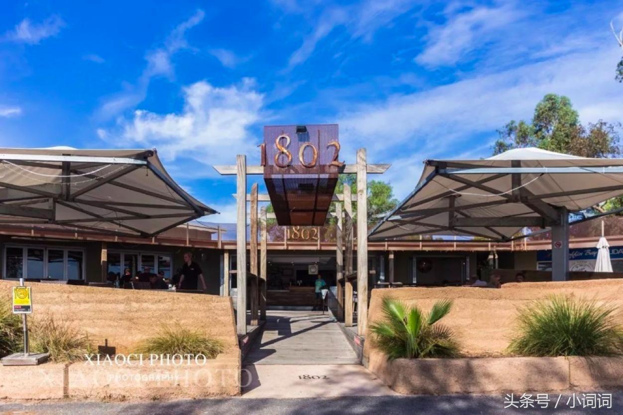 玩转南澳大利亚，这篇最全旅行攻略一定可以帮到你