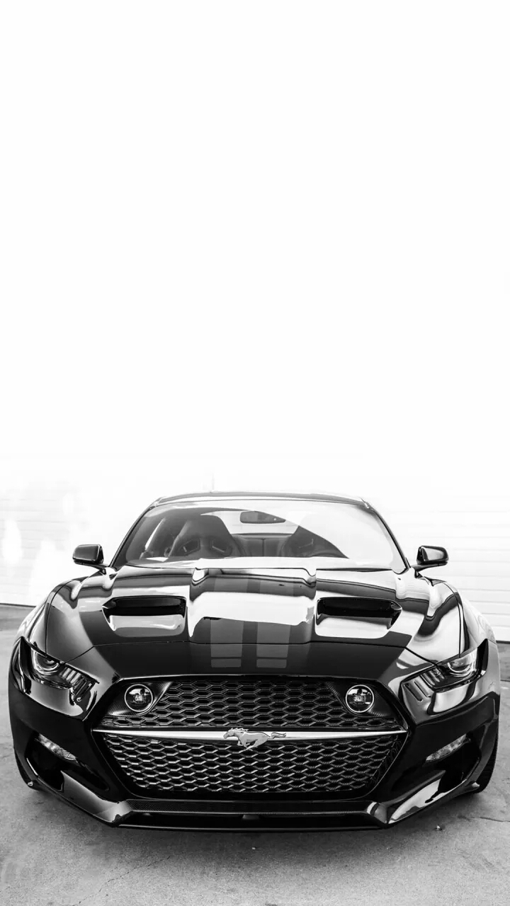 黑白简约手机壁纸超清全面屏,黑白简约壁纸苹果图案