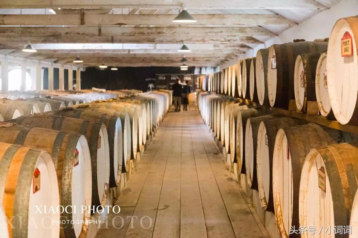 玩转南澳大利亚，这篇最全旅行攻略一定可以帮到你