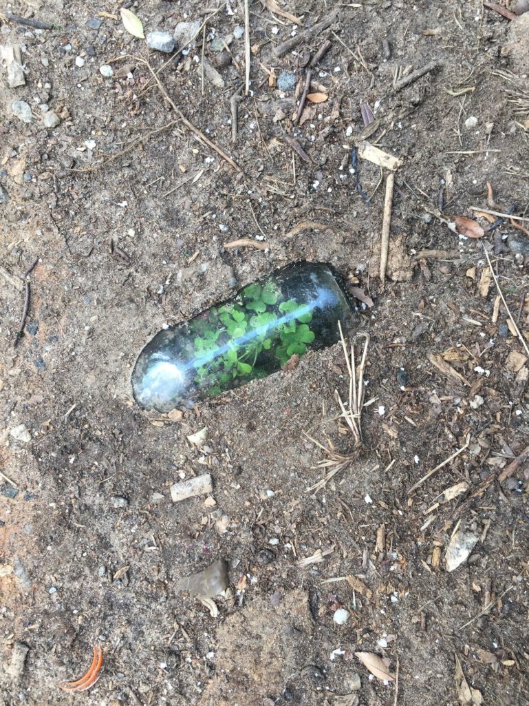 大自然神奇的自然现象,大自然中有哪些神奇的现象