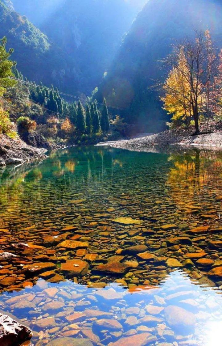 仙居美食餐厅推荐日料,仙居美食推荐