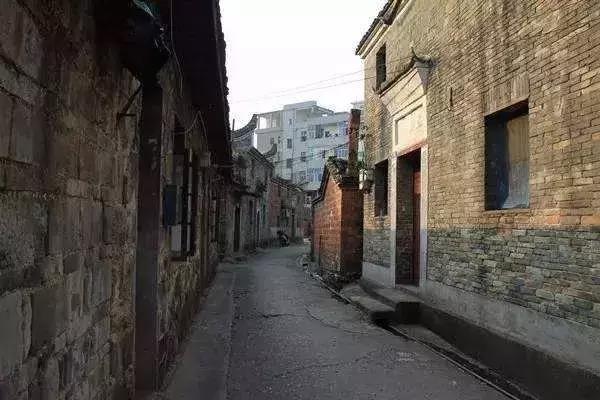 “杀”进国民*党**高层的蒋介石重孙