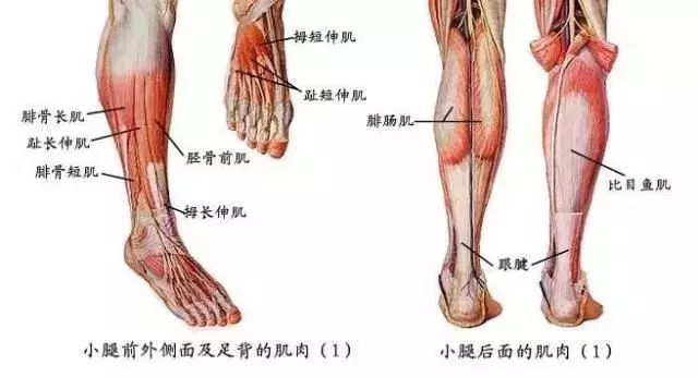 PS都拯救不了的蒋欣，这个部位竟让她立马瘦了20斤！