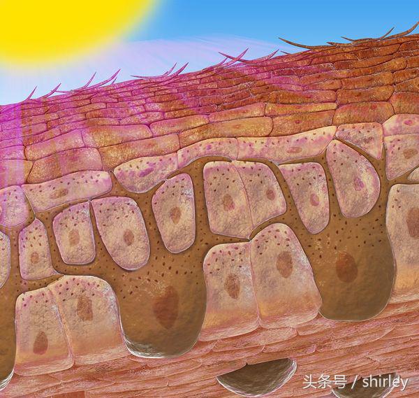黑眼圈怎么消除最快,黑眼圈怎么消除才最快最有效