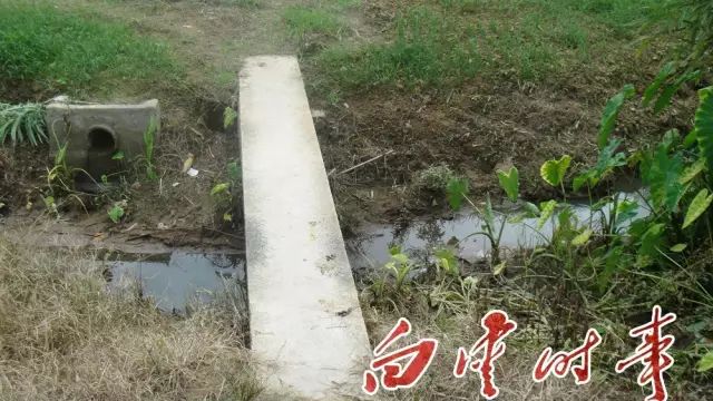 白云有几个村分别叫什么,白云有多少个村