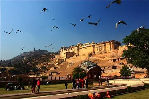 行走在印度完整视频,漫步印度街景视频