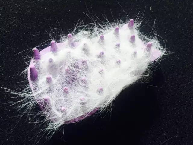 猫毛梳哪种好用,猫毛梳用哪种