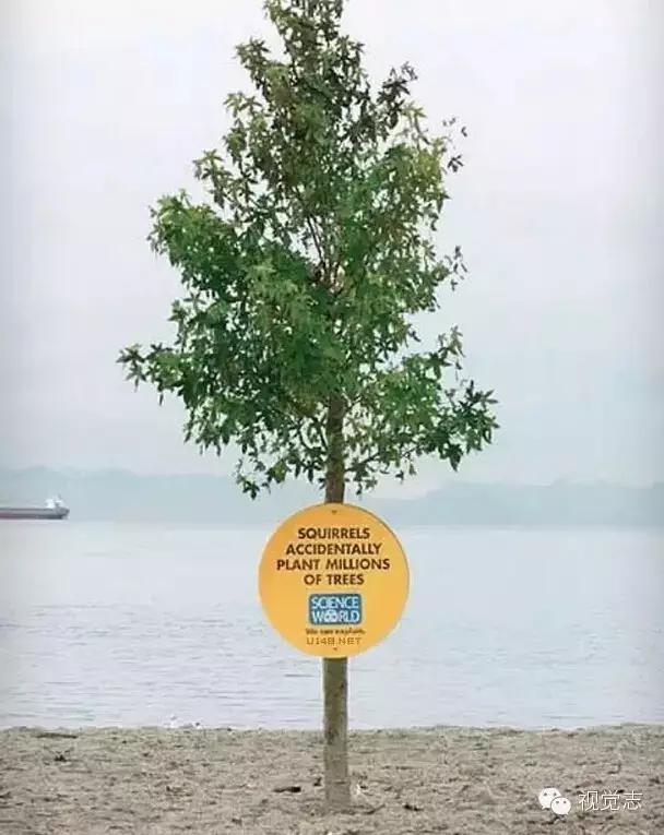 这些冷知识你都知道的吗,这些冷知识你都知道吗