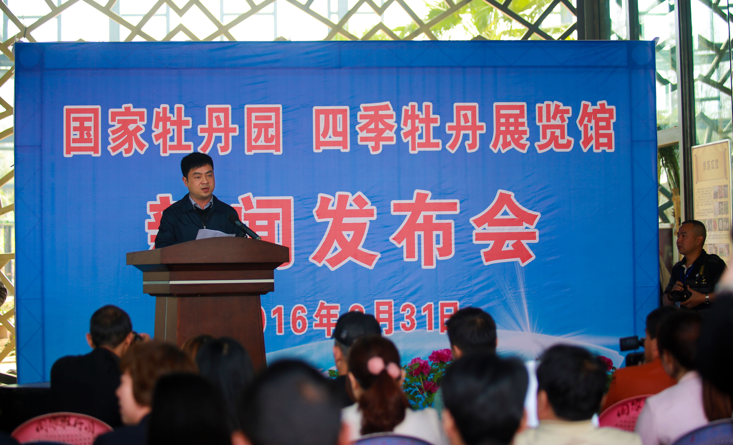 洛阳龙门牡丹园最美牡丹,洛阳国家牡丹园最独特的牡丹