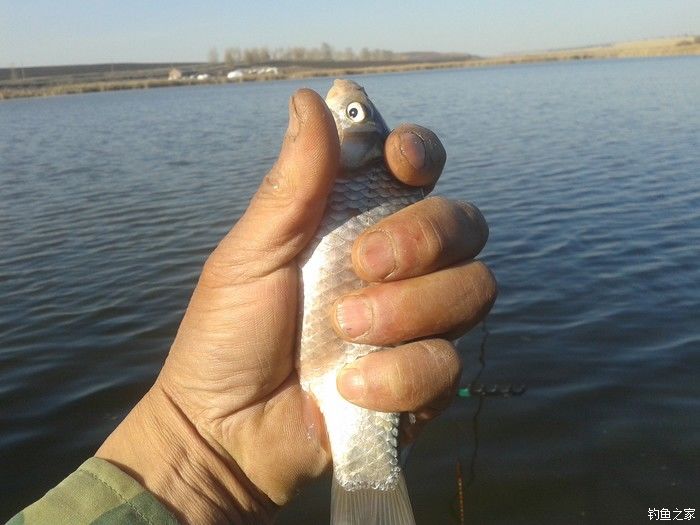 远征远征17,远征17-20