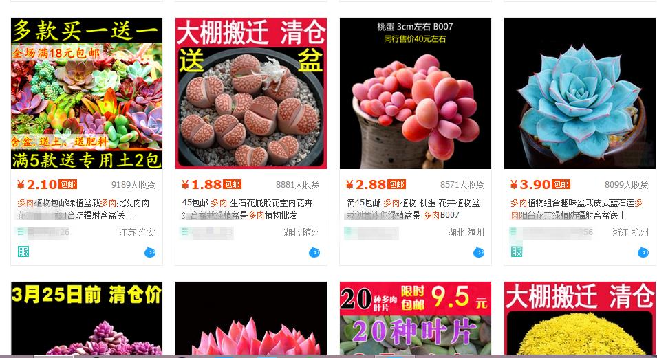 鑺卞尃澶氳倝,鑺卞尃绮惧搧澶氳倝