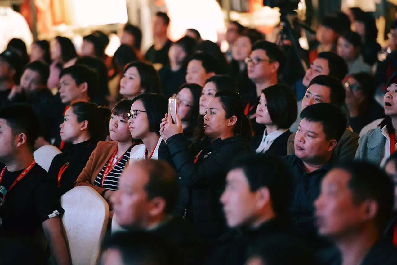 龙狮戴尔标志,龙狮戴尔属于几线品牌