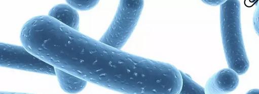 关于益生菌的4大真相,益生菌冷知识大全集