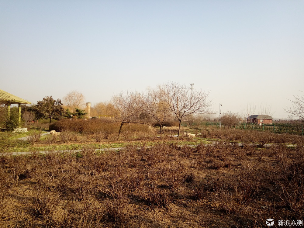 vivox6测评,vivox6使用感受