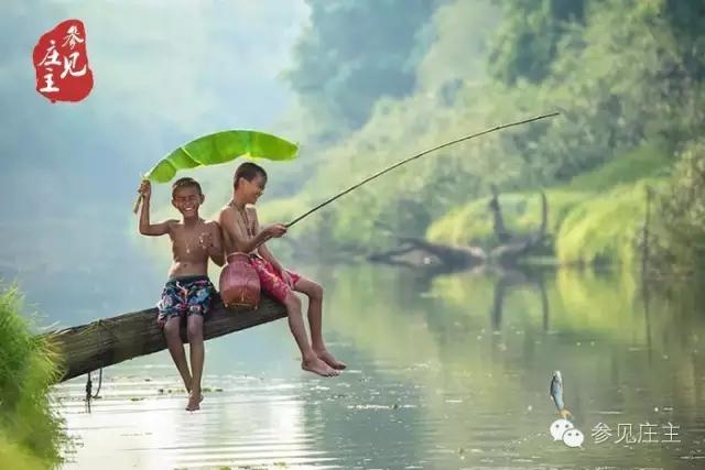 垂钓农庄一般投资多少钱,投资20亩休闲垂钓农庄生态园预算