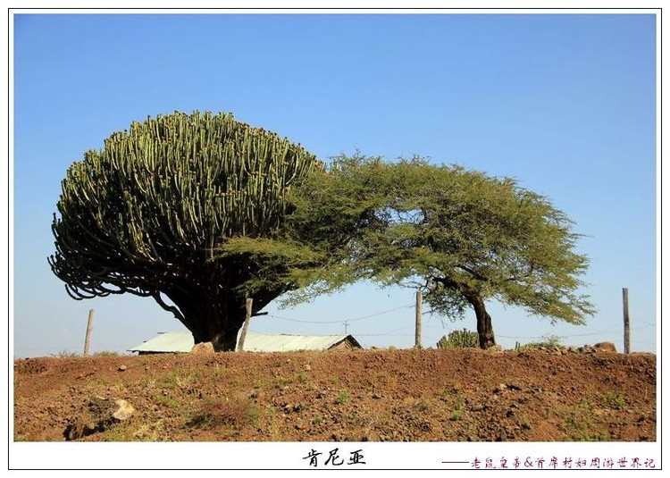 车上拍的路边风景，最真实的反映了一个国家人民的生存现状