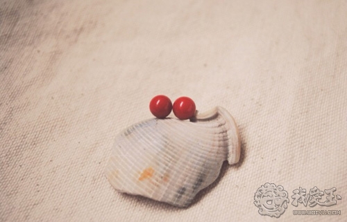 红珊瑚介绍,真正的红珊瑚是什么样的