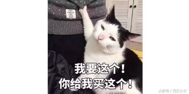 gucci古驰香水最新款,gucci香水花香系列