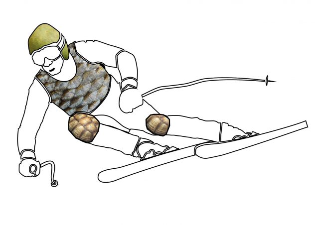 用柚子做帽子?宝马参考柚子皮结构做防护配件,保护性能提升20%