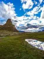 一封来自*藏西**的辞职信