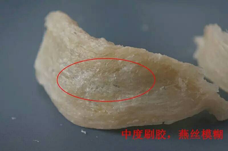 马来西亚燕窝与印尼燕窝哪个好,马来西亚的燕窝和印尼燕窝区别