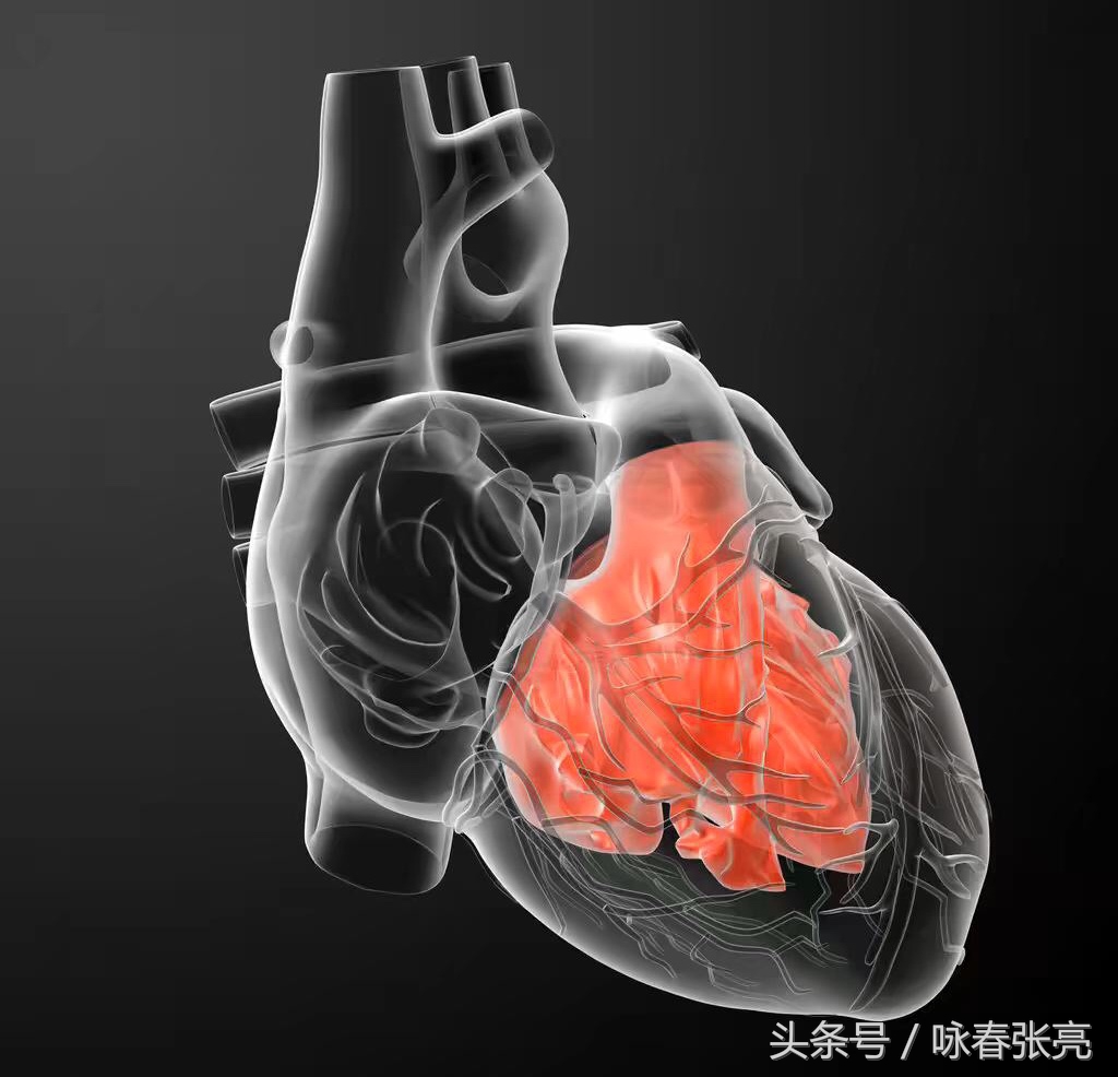 咏春拳十大杀招图解,咏春拳击打颈部招数