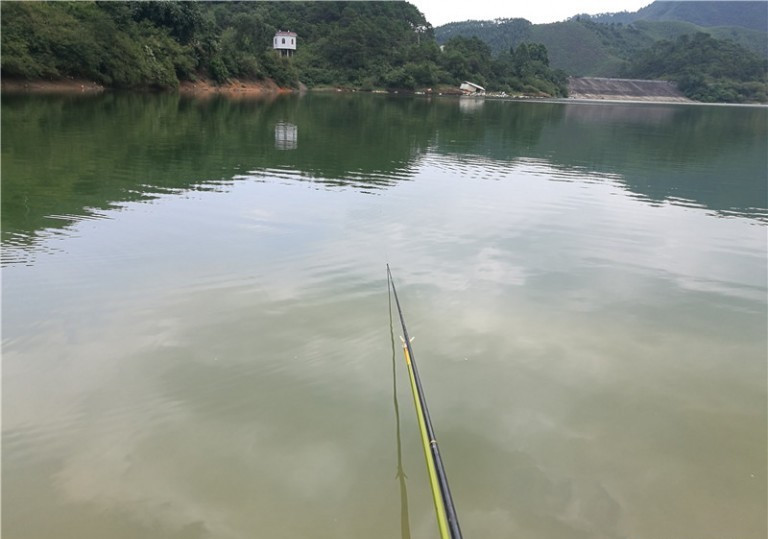 广西玉林钓土鲮鱼钓法,玉林钓土鲮的方法