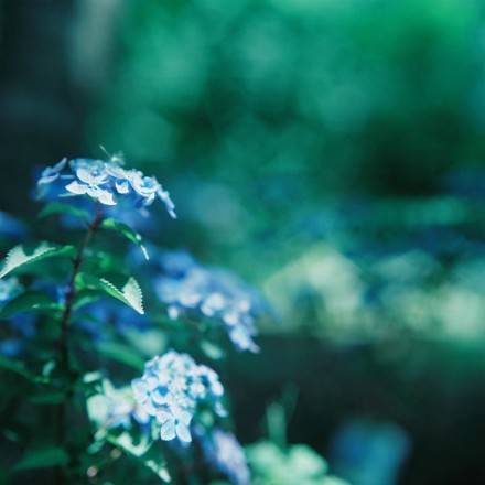 牵手一次能走到白头到老,牵手就能走到白头该多好