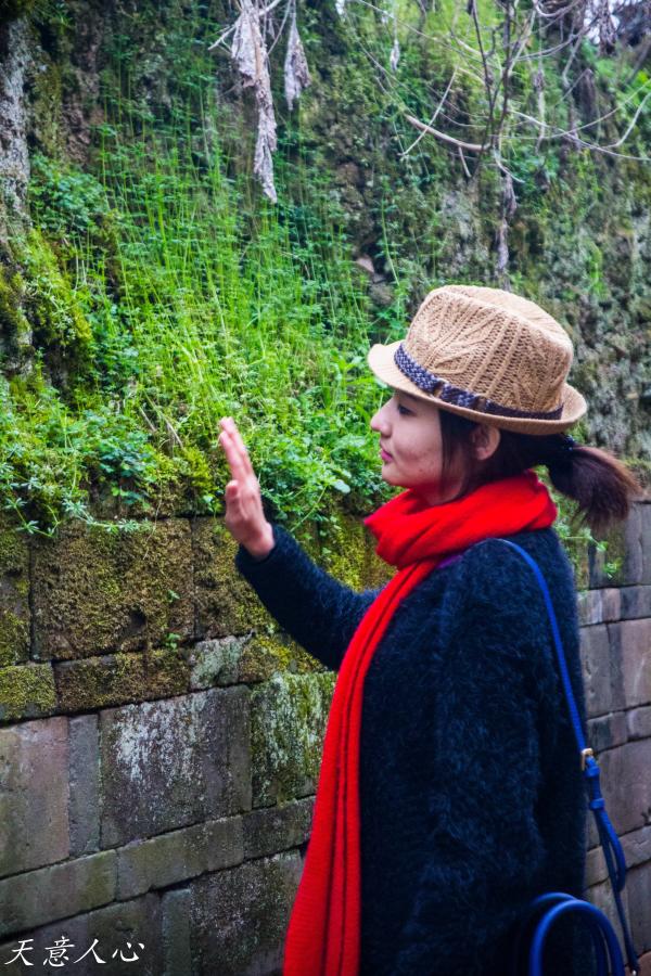 漫游武夷山之自驾游,漫游武夷记