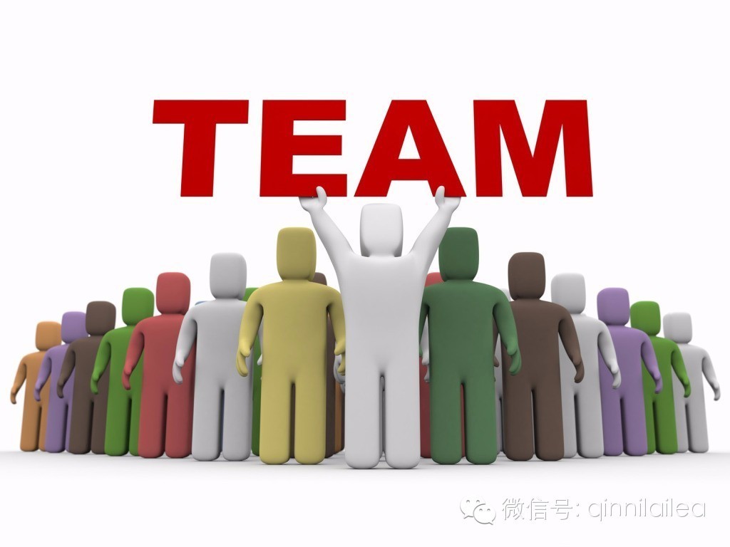 网站优化基本常识教程,如何用最正确的方法做网站优化