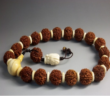 金刚菩提的坏籽是什么,金刚菩提烂籽