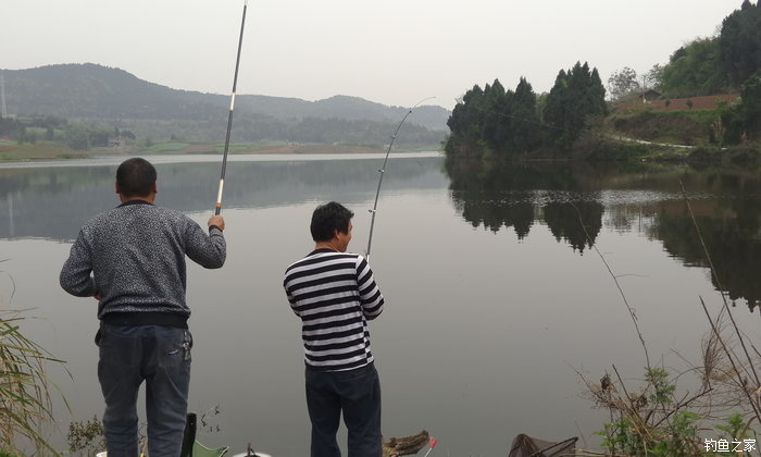 八一水库钓草鱼,八一水库钓青稍