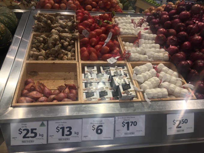 辞职了想去澳洲旅游,辞职旅行三年