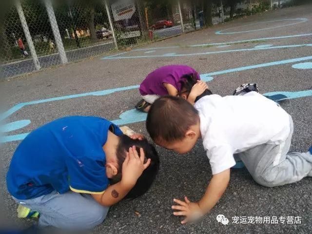 被狗追怎么自救演示,被狗追怎么自救神回复