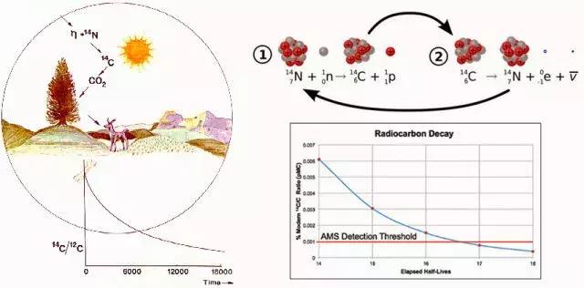你知道为什么膝盖总疼么,膝关节磨损恢复方法
