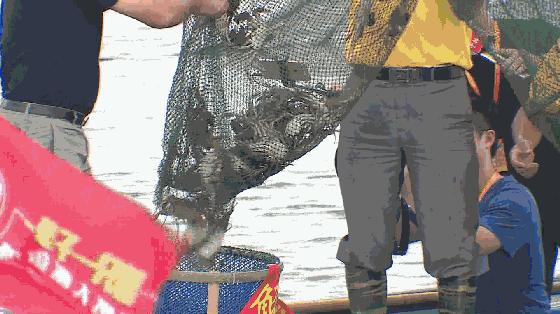 谢霆锋来澄海东湖,谢霆锋来厦门大排档