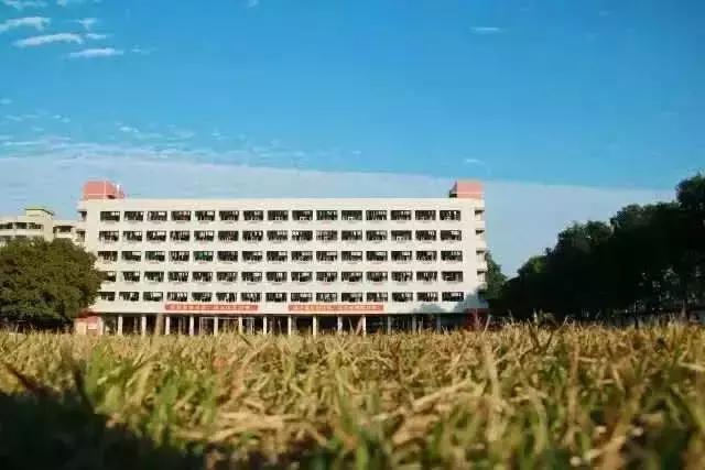 全国十大最美中学,亚洲最美中学