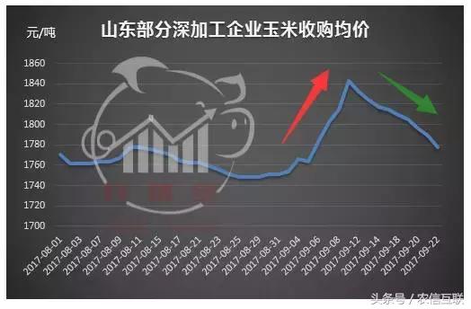 当前玉米最新价格还有涨价空间吗,今日山东玉米价格是涨价还是掉价