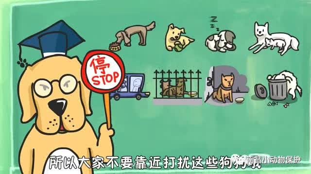 世界狂犬病日漫画,世界狂犬病漫画